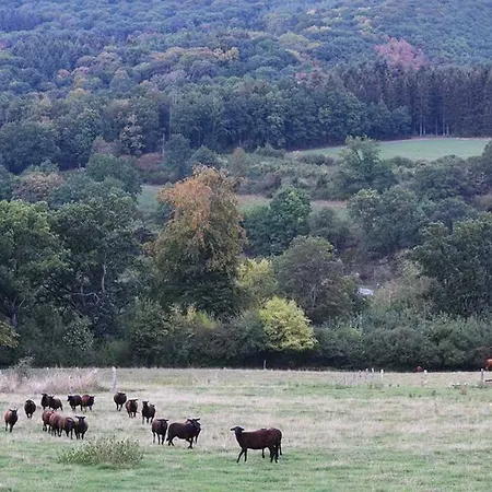Rochefort En Ardenne Οργανωμένο κάμπινγκ Nassogne