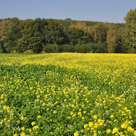 Οργανωμένο κάμπινγκ Rochefort En Ardenne Nassogne