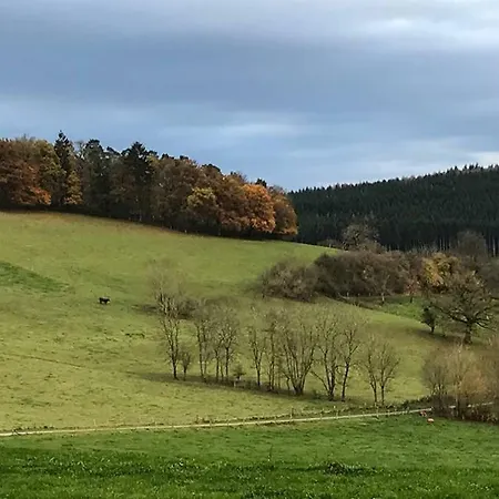 Rochefort En Ardenne ラグジュアリーテント ナソーニュ